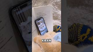 Download lagu Kirain lagi belajar, gak taunya lagi main hp 😹 mp3