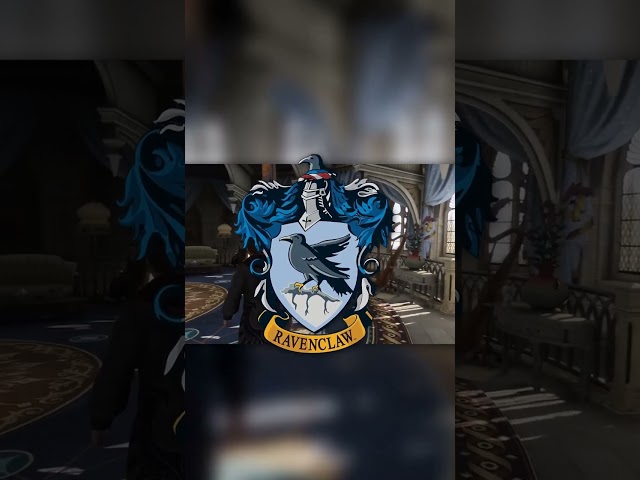 Vídeo relacionado con Harry Potter - Pelele con sombrero Ravenclaw para niño o niña, gris oscuro, 3-6 meses