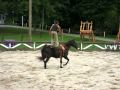 NEW Equestrian Circus Act Voltige En Liberty S Caleb Carinci Asch And Skagoks
