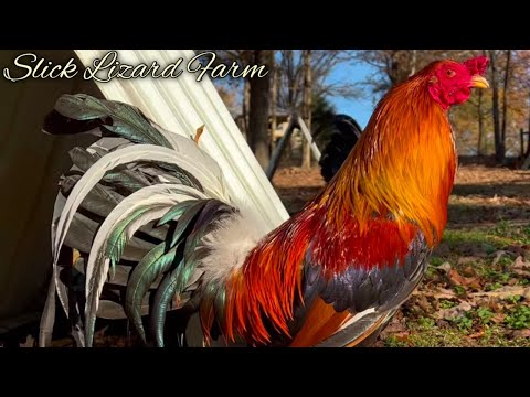 Hoskins Sweater Yellow leg hatch Grey - SLICK LIZARD FARM