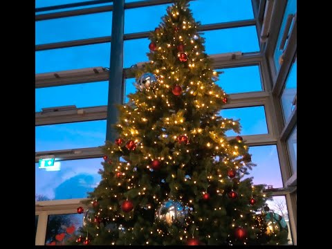 Juleavslutning Randaberg videregående skole  2021