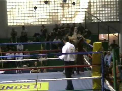 Filip Pitbull Italiani 2011