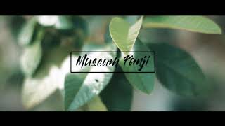 preview picture of video 'Travel Vlog , Museum Panji Tumpang Malang'