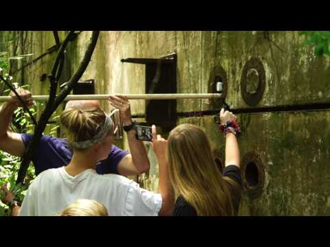 GNAL Hot Cell Director's Cut