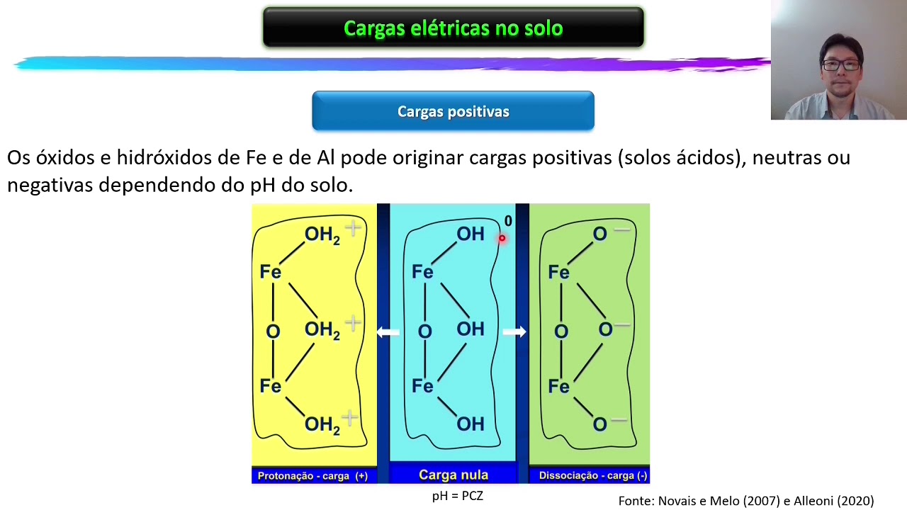 Palestra Conceitos gerais de Fertilidade do Solo e de Nutrição de Plantas