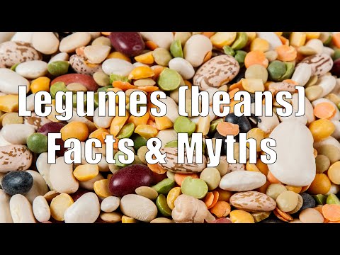 Legumes (beans) Facts & Myths (700 Calorie Meals)...