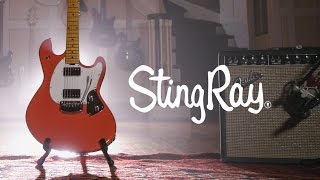 Ernie Ball Music Man: StingRay Guitar (feat. Daniel Donato)