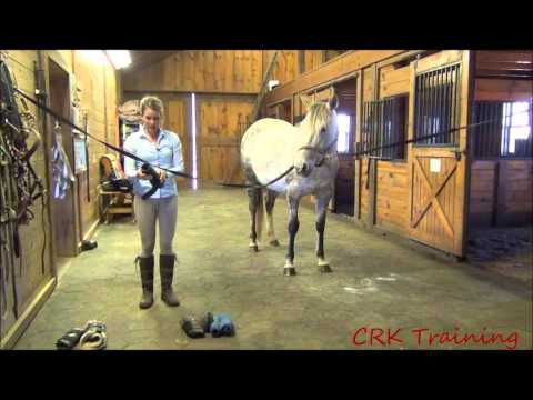 YouTube video about: What is aquitaine for horses?