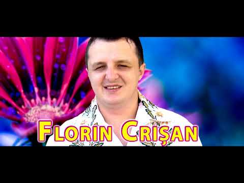 Florin Crisan - De ce totu-i trecator