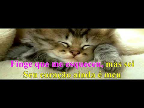 Karaokê - Manu Bahtidão - Garrafa De Gin - Forró