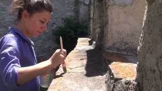preview picture of video 'Les Jours des Ephemeres 2014 - Schloss Leuk - Part 1'