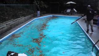 How to clean debris off surface of pool under 5min