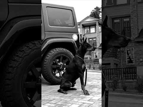 Nare Gevorgyan ft Mher Petrosyan - Mi Vayrkyanov/slowed🔥🖤