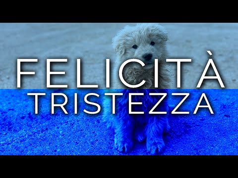 2302-IT Mauro, FELICITÀ TRISTEZZA - Ipnosi Esoterica ∞ Lucio Carsi