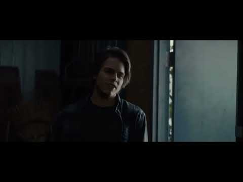 A dog‘s journey Shane vs CJ and Molly￼