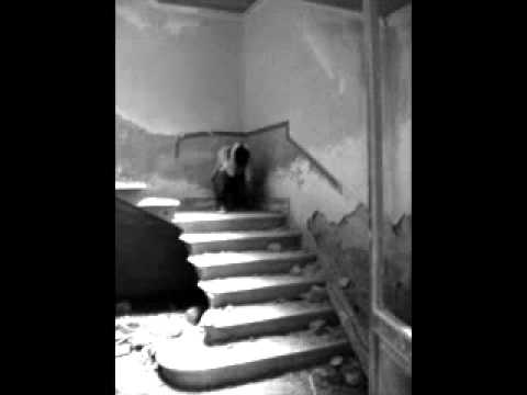 Svetac , Grim , Iks - Kome Da Se Molimo.flv