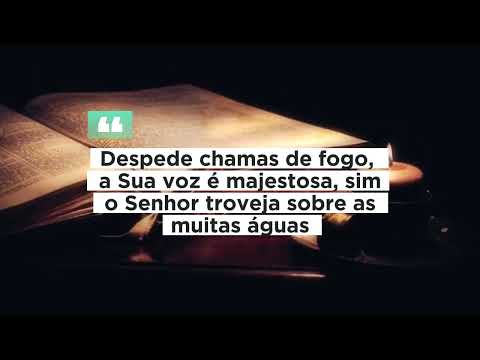 Ministério Koinonia - A voz do senhor…