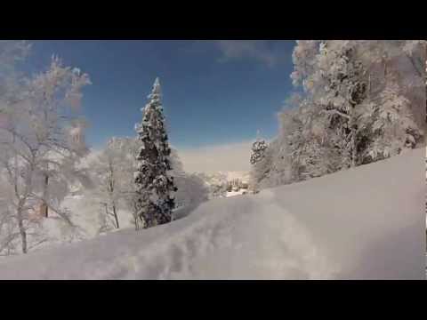Nozawa Onsen: powder + trees = good times :)