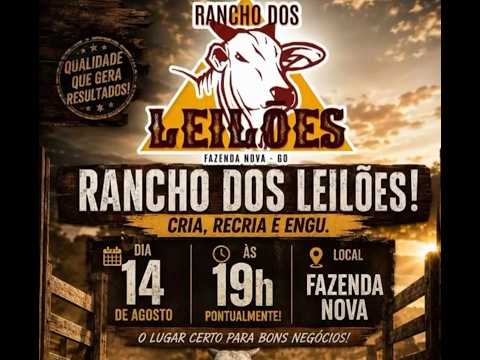 Fazenda Nova - GO   14/08/2026