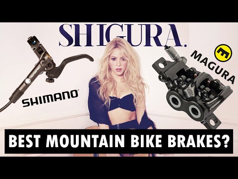 Shimano Magura Shigura Everything you need to know