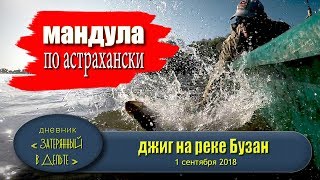 Отчет о рыбалка в астрахани осенью
