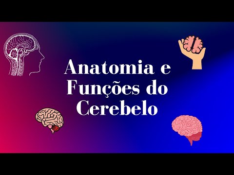 Mapa mental - Anatomia e Funções do Cerebelo #Anatomia #Cerebelo
