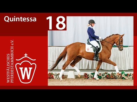 18 Quintessa Stute v. Quasar de Charry - Potsdam
