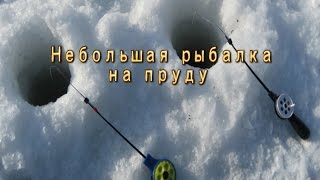 Ловля плотвы зимой в озерах