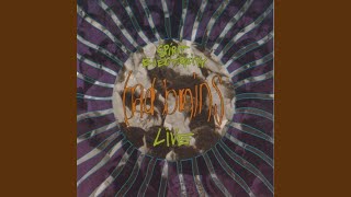 Day Tripper/She&#39;s A Rainbow