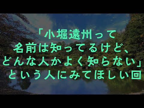 jardin zen moderne-cour-interieure-arbustes-rochers-gravier-concasse