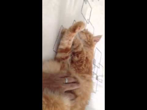 Playing With shiju, herself to sleeping