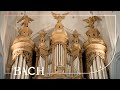 Bach - Pièce d'Orgue BWV 572 - Van Doeselaar | Netherlands Bach Society