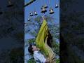 Oru Kathilola Njn Kandilla Song Vettam Whatsapp Status Song Whatsappstatus Malayalam