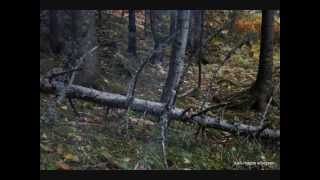 Venter her på deg, CC COWBOYS