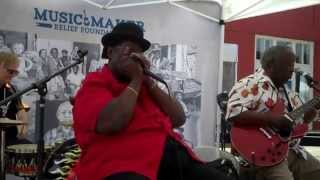 Juke Joint Festival 2015 - Music Maker Relief Foundation (1)