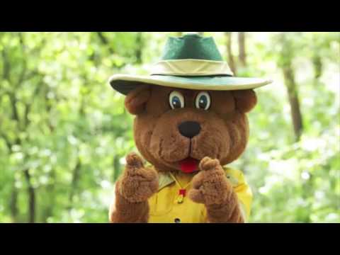 Landal GreenParks Bollo-Lied | Video