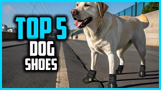 Download lagu ✅ Top 5 Best Dog Shoes 2025 – Keep Your Pup’s Paws Protected! mp3