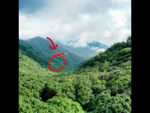 real strawberry elephant spotted 😱😱 #anoanowillkum #onandon #strawberry #elephant #real