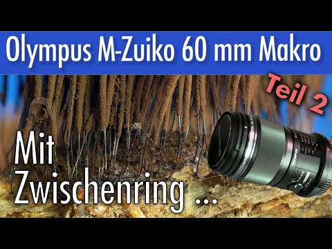 Olympus 60mm Makro und die Möglichkeiten Teil 2 Mit Zwischenring