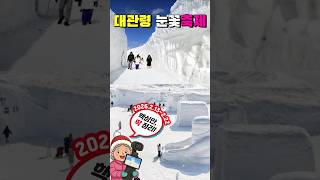 대관령 눈꽃축제❄️눈 위에서 국가대표 가보자고!🎿