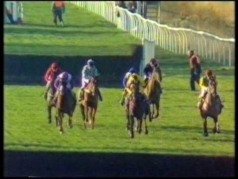 1989 Hennessy Cognac Gold Cup Handicap Chase