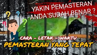 Download lagu DIJAMIN CEPAT MASUK || CARA PEMASTERAN YANG TEPAT UNTUK CUCAK IJO mp3