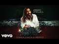 Diego El Cigala - Verdad Amarga (Audio)