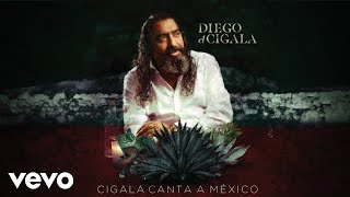 Diego El Cigala - Verdad Amarga (Audio)