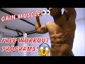 FREE WORKOUT PROGRAM FOR GAINING MUSCLE
