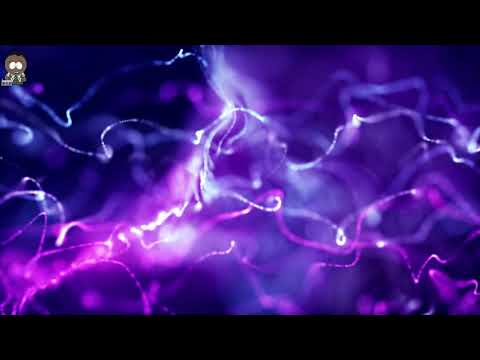 LTGTR x GAB Ft  Philosofie - Midnight Cruise