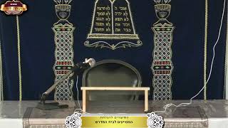 בית המדרש "תורת דוד" ¤ שידור חי ¤ ב' אב תשפ"ה (27.7.2025) (מוסדות תורת דוד) - התמונה מוצגת ישירות מתוך אתר האינטרנט יוטיוב. זכויות היוצרים בתמונה שייכות ליוצרה. קישור קרדיט למקור התוכן נמצא בתוך דף הסרטון בית המדרש "תורת דוד" ¤ שידור חי ¤ ב' אב תשפ"ה (27.7.2025) (מוסדות תורת דוד) - התמונה מוצגת ישירות מתוך אתר האינטרנט יוטיוב. זכויות היוצרים בתמונה שייכות ליוצרה. קישור קרדיט למקור התוכן נמצא בתוך דף הסרטון