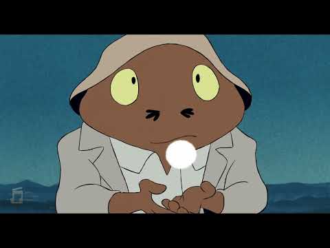 IFMC 2026 Submission | Walter