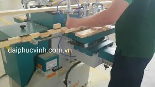 Máy khoan lắc mộng oval âm 2 bàn Woodmaster