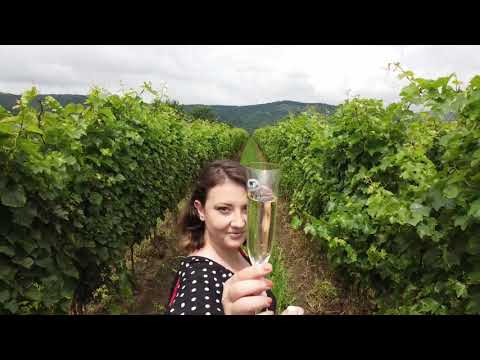 Weekend la Castelul Bethlen Haller